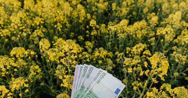 智能互联网技术是啥_智能互联网技术属于哪个大类