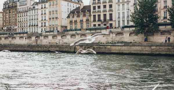 全景互动展厅_全景互动