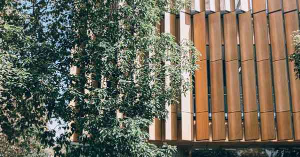 多人互动游戏户外简单