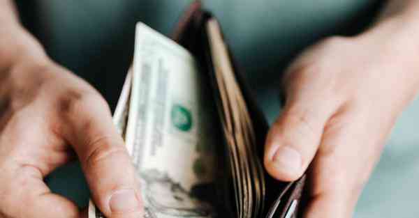 儿童益智早教视频_儿童益智早教视频认识动物