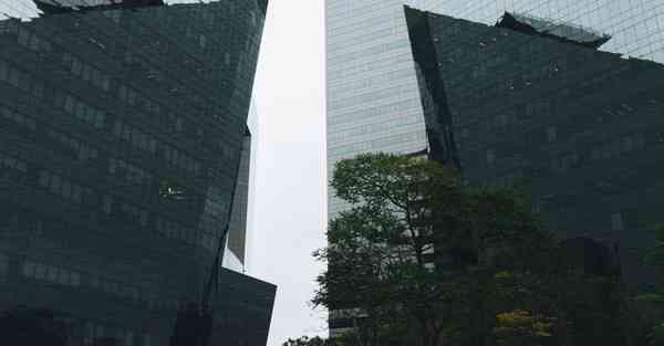 屏幕展示照片_屏幕展开特效