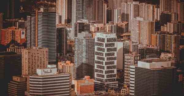 酒展览摆设_酒展会2020年