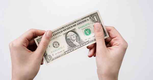 酒展览摆设_酒展会2020年